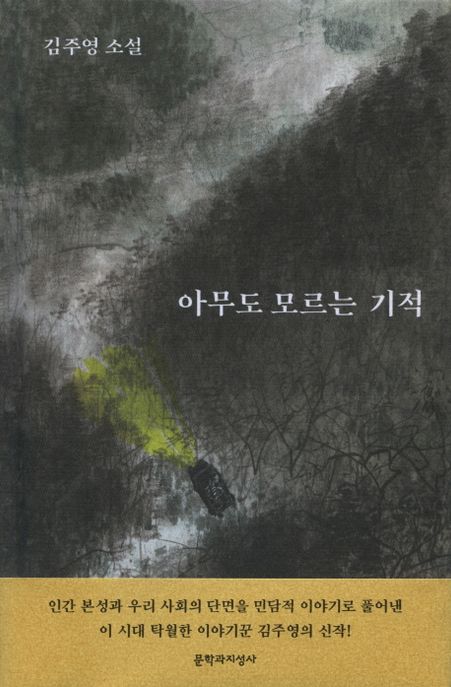 아무도 모르는 기적: 김주영 소설