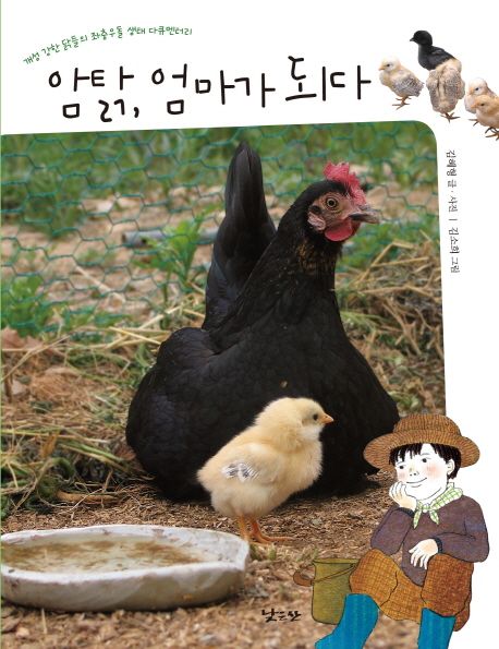 암탉 엄마가 되다 : 개성 강한 닭들의 좌충우돌 생태 다큐멘터리