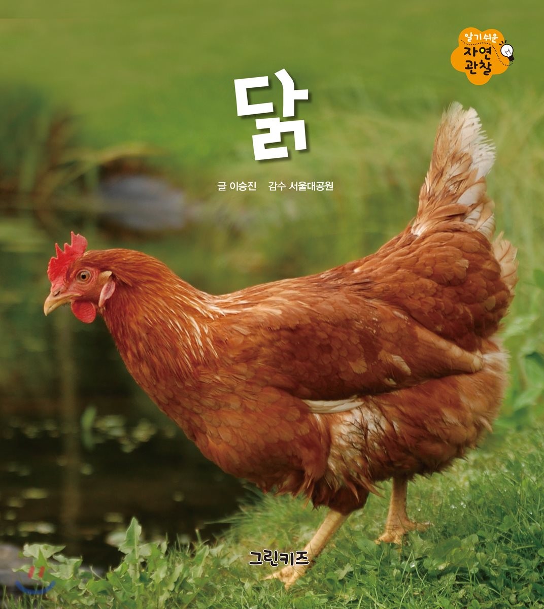 전통춘천닭갈비 이미지