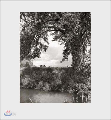 Robert Adams: Cottonwoods (Cottonwoods: Photographs, and a Conversation About Picture-making in the American West)