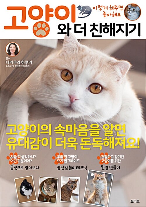 고양이와 더 친해지기