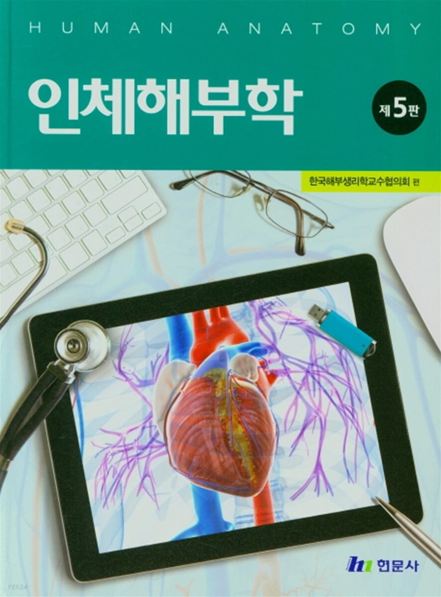 인체해부학