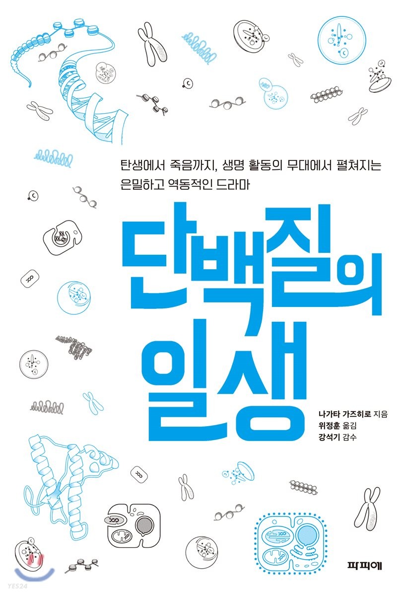 단백질의 일생  : 탄생에서 죽음까지, 생명 활동의 무대에서 펼쳐지는 은밀하고 역동적인 드라마