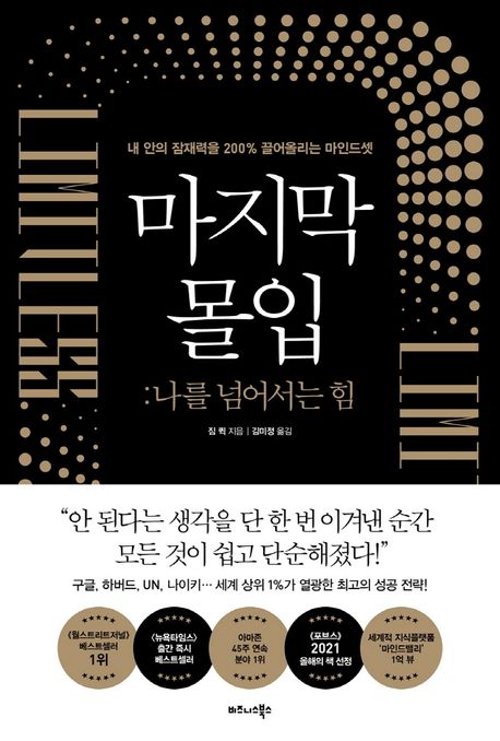 마지막 몰입  : 나를 넘어서는 힘