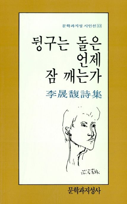 뒹구는 돌은 언제 잠 깨는가 (제2회 김수영 문학상 수상 시집) 표지