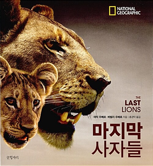 마지막 사자들