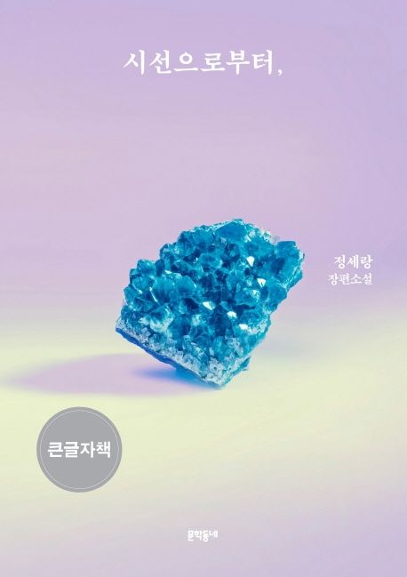 시선으로부터, : 정세랑 장편소설 : 큰글자책
