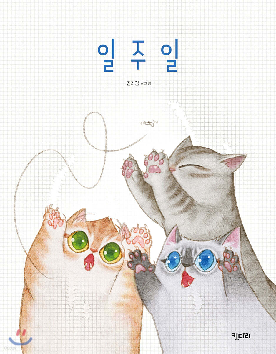 일주일 표지