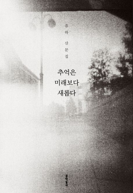 추억은 미래보다 새롭다 : 유하 산문집