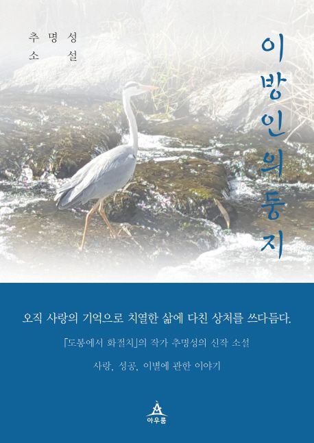 이방인의 둥지 - [전자책]  : 추명성 소설 / 추명성 지음