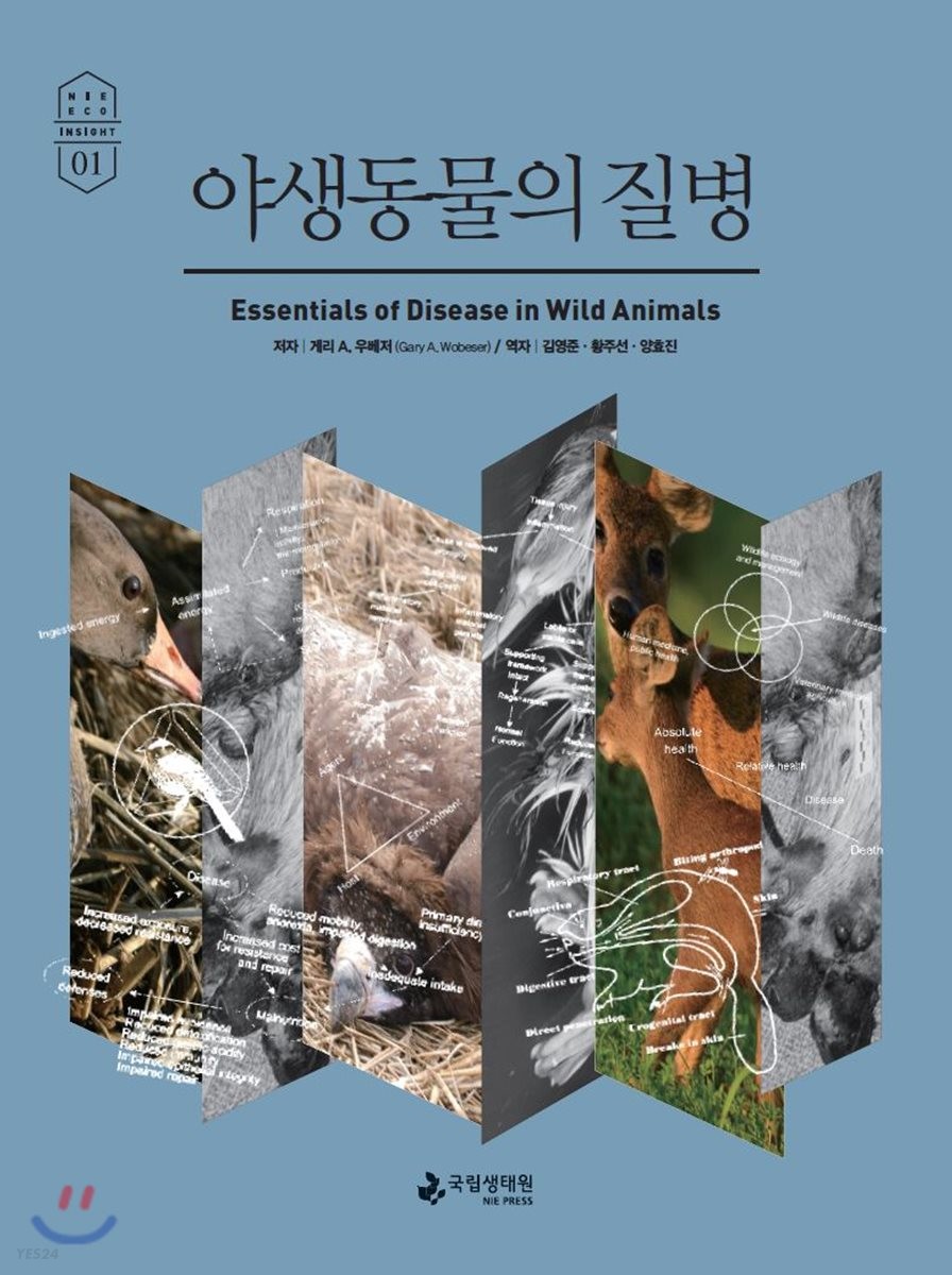 야생동물의 질병