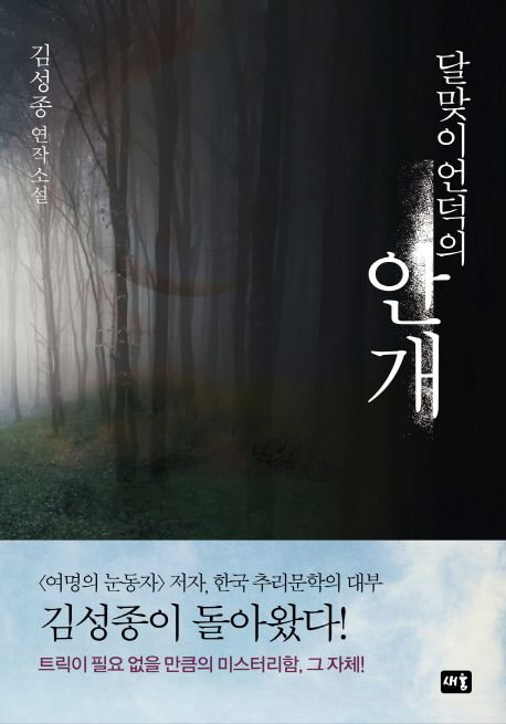 달맞이언덕의 안개 - [전자책]  : 김성종 연작 소설