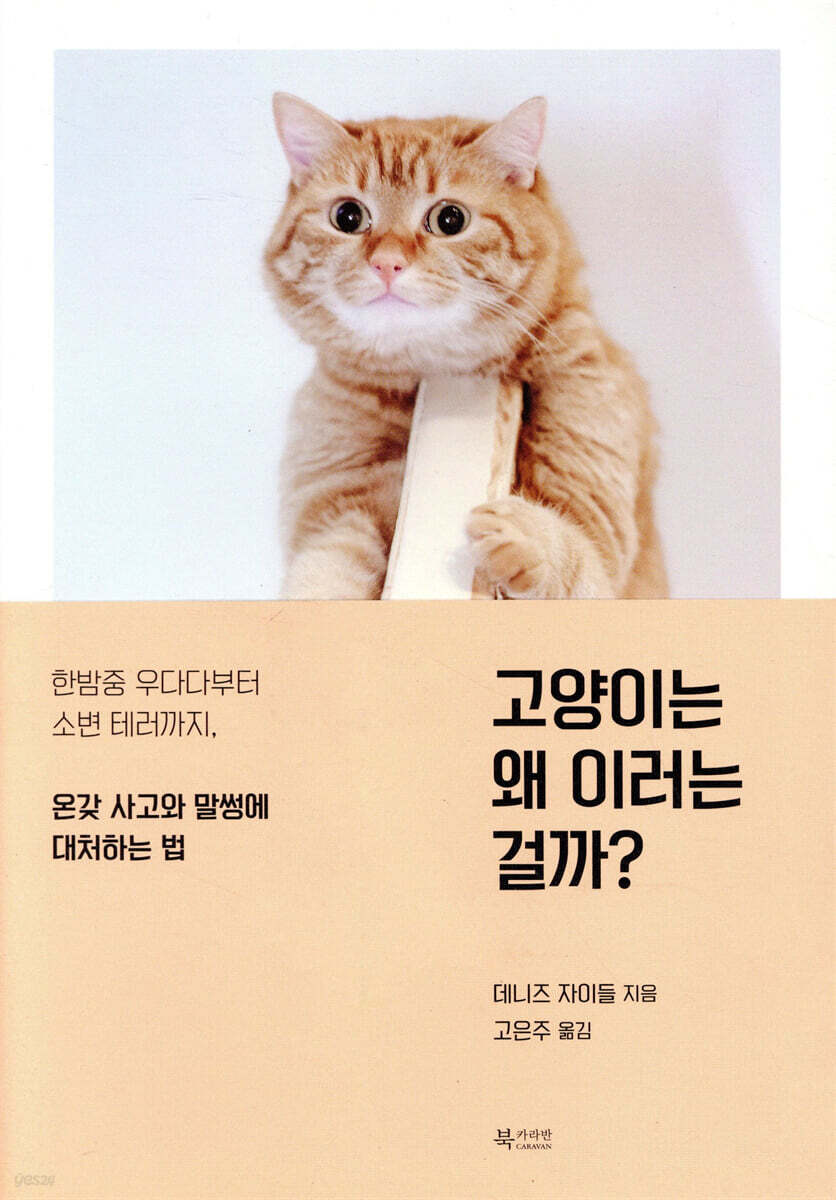 고양이는 왜 이러는 걸까?  : 한밤중 우다다부터 소변 테러까지, 온갖 사고와 말썽에 대처하는 법