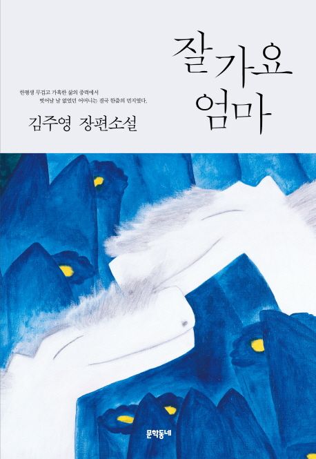 잘 가요 엄마  : 김주영 장편소설 / 김주영 지음