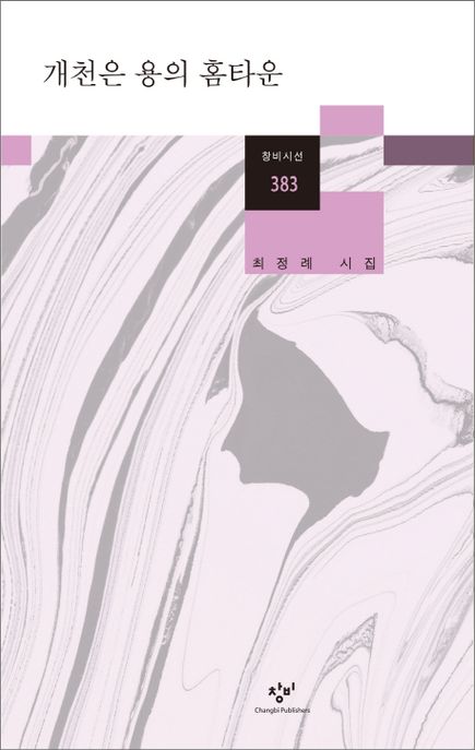 개천은 용의 홈타운  : 최정례 시집