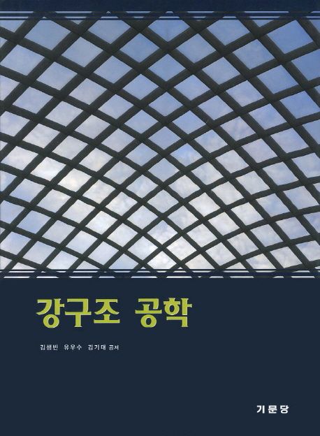 강구조 공학 / 김생빈 ; 유우수 ; 김기대 지음