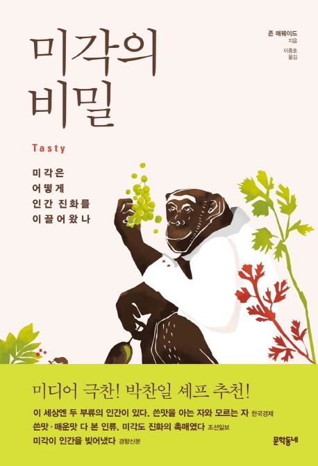 미각의 비밀 — 밥을 오래 씹으면 왜 단맛이 날까