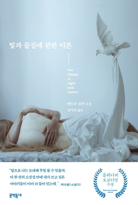 빛과 물질에 관한 이론  : 앤드루 포터 소설