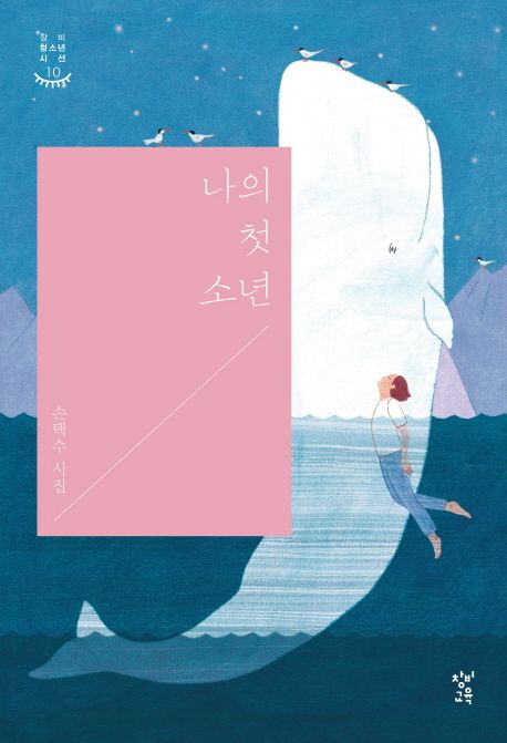 나의 첫 소년 (손택수 시집) 표지