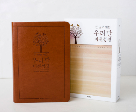 (큰 글로 읽는)우리말 비전성경  = The woorimal vision bible : Duranno Korean version