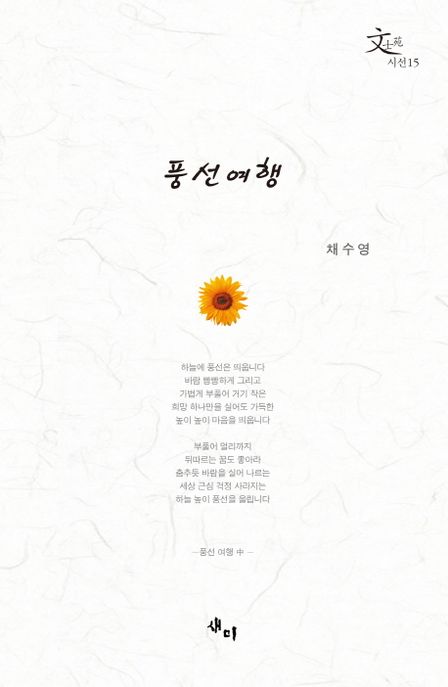 풍선 여행 / 채수영 지음