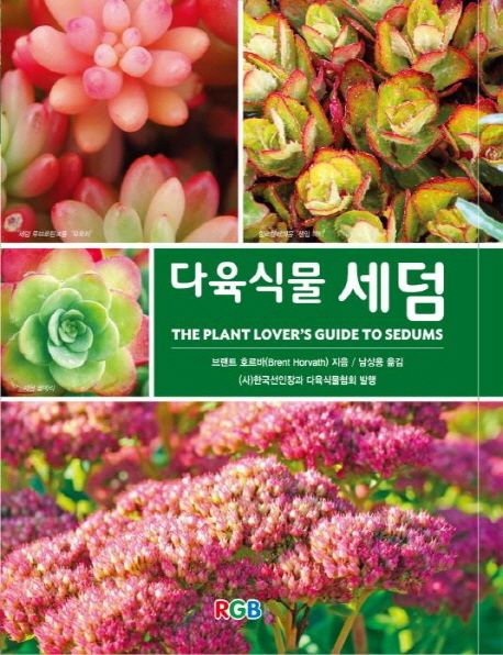 다육식물 세덤