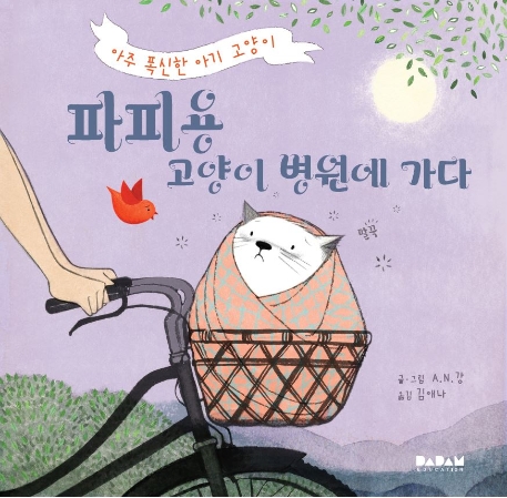 파피용 고양이 병원에 가다 (아주 폭신한 아기 고양이)