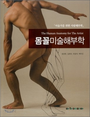 몸꼴미술해부학 : 미술가를 위한 사람해부학 = (The) human anatomy for the artist