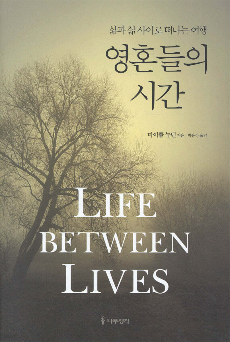영혼들의 시간 - [전자책] : 삶과 삶 사이로 떠나는 여행