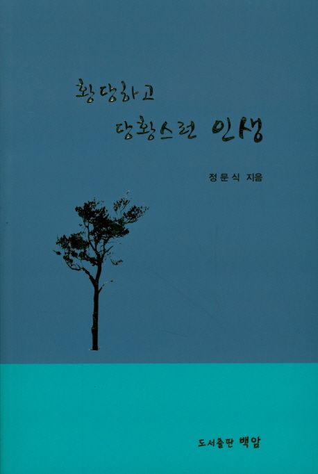 황당하고 당황스런 인생 - [전자책]  : 정문식 수필집