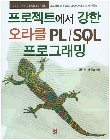 프로젝트에서 강한 오라클 PL/SQL 프로그래밍