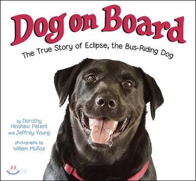 Dog on board : the true story of eclipse the bus-riding dog