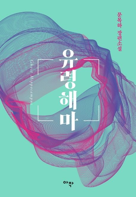 유령해마 = Ghost hippocampus 247.30 Hz : 문목하 장편소설