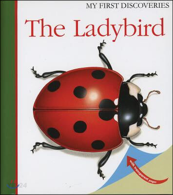 (The)Ladybird