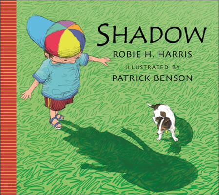 Shadow! (A Step-by-Step Guide to Participatory Democracy)