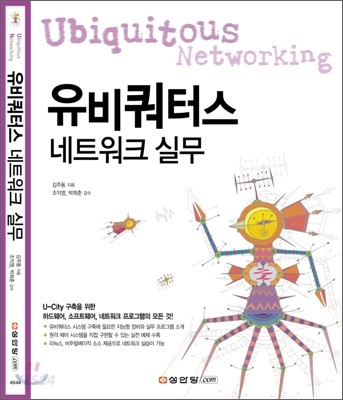 유비쿼터스 네트워크 실무 = Ubiquitous Networking
