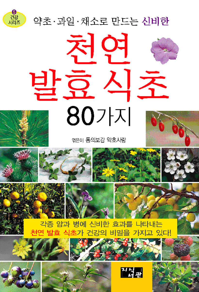 (약초 과일 채소로 만드는 신비한)천연 발효 식초 80가지