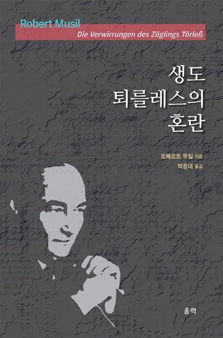 생도 퇴를레스의 혼란