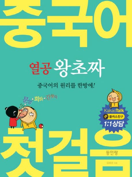 중국어 첫걸음 : 중국어의 원리를 한방에
