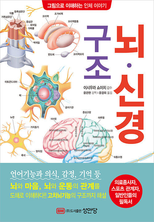 뇌·신경 구조 / 이시우라 쇼이치 감수 ; 윤경희 옮김