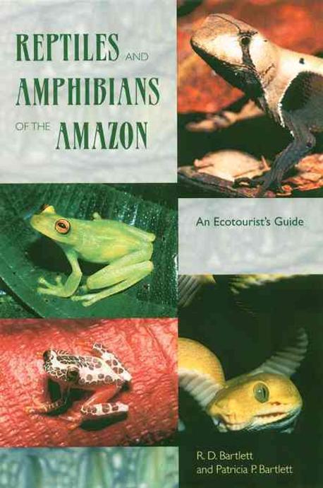 Reptiles and Amphibians of the Amazon: An Ecotourist’s Guide