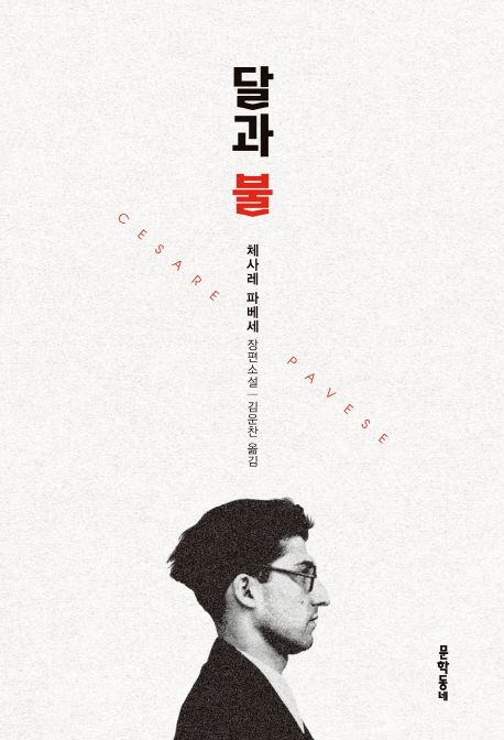 달과 불  : 체사레 파베세 장편소설