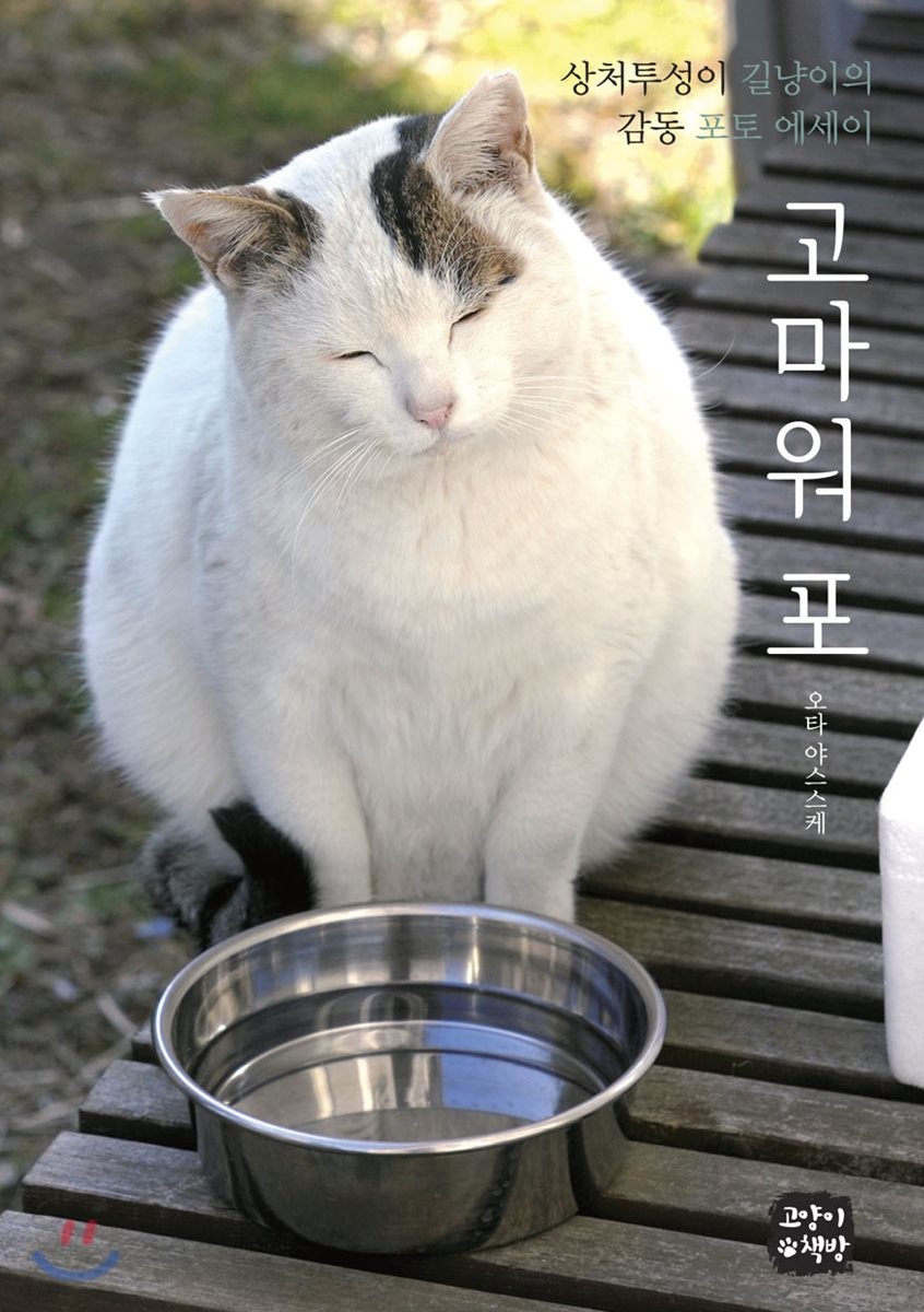 고마워포:상처투성이길냥이의감동포토에세이