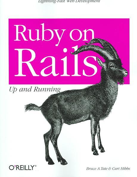 Ruby on Rails Paperback