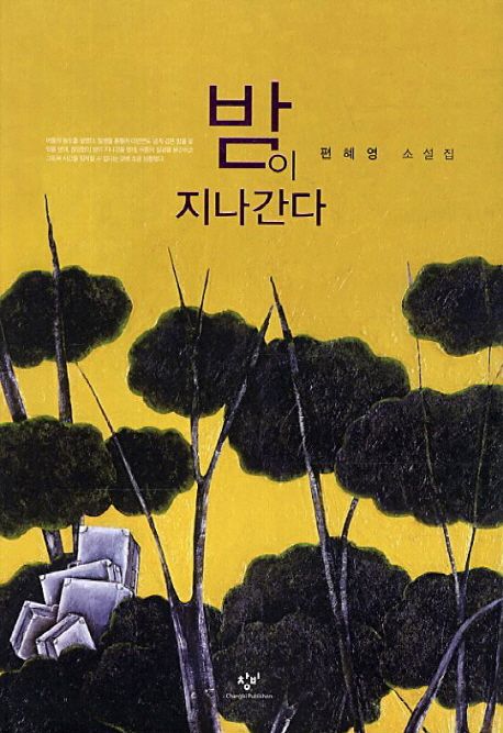 밤이 지나간다 : 편혜영 소설집