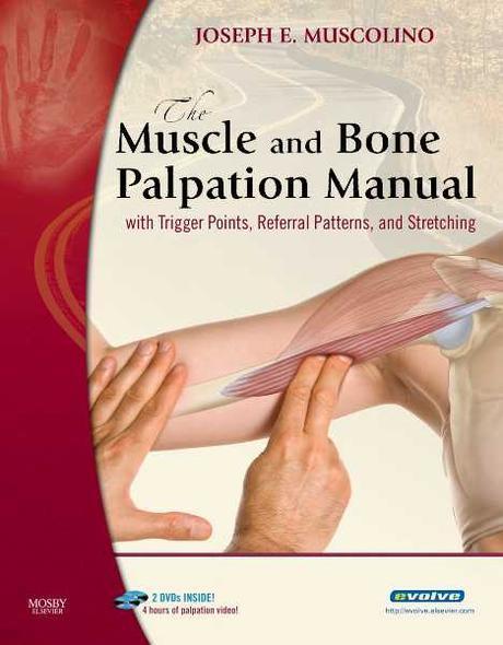Muscle and Bone Palpation Manual with Trigger Points, Referral Patterns and Stretching