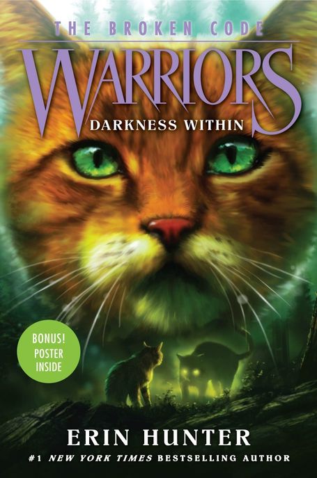 Warriors : the broken code . 4 , darkness within