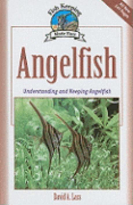 Angelfish : Understanding and Keeping Angelfish (Understanding and Keeping Angelfish)