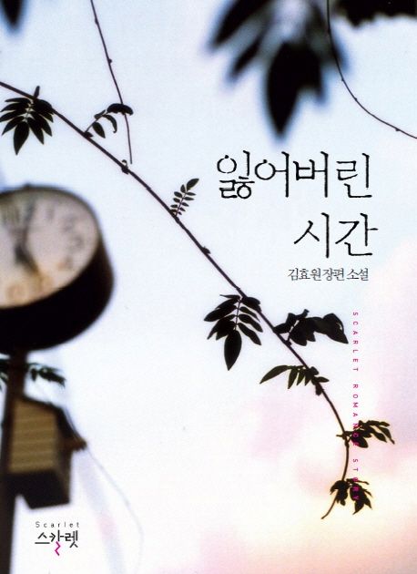 잃어버린 시간 : 김효원 장편 소설