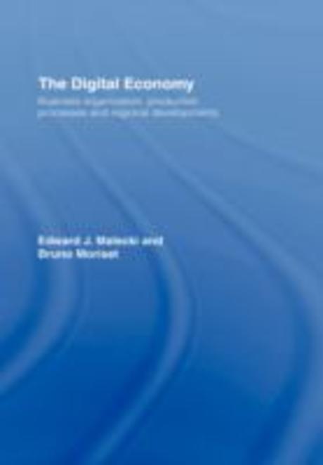 The digital economy : business organization, production processes and regional developments